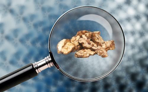 Microdosing Teil 1: Magische Trüffel